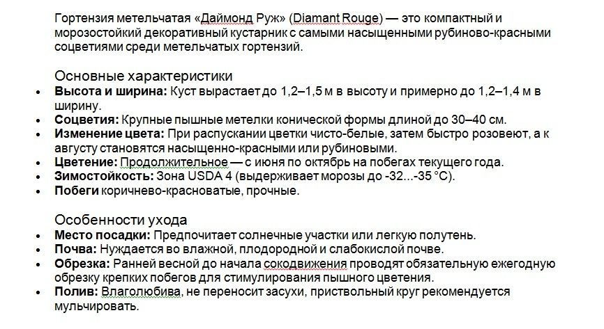 Саженцы гортензий
