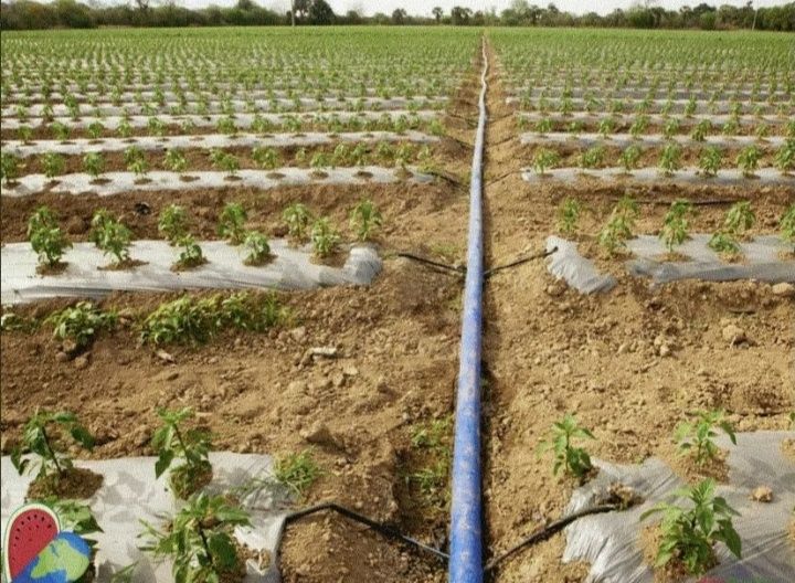 Шланги Лайфлет для полива по оптовым ценам