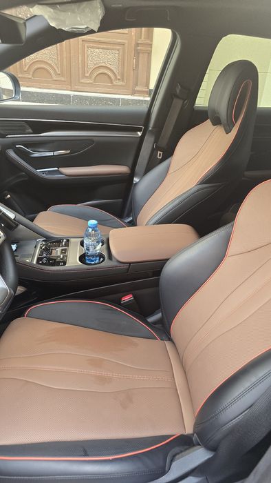 Бивайди чимпион гибрид