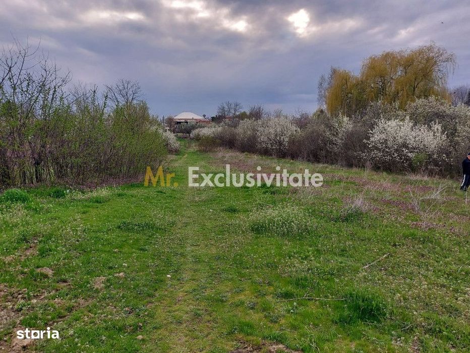 Teren Topoloveni - 3670 mp - langa padure, aproape de Centrul orasului
