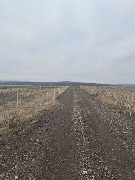 Teren Extravilan Cristur Deva Hunedoara !