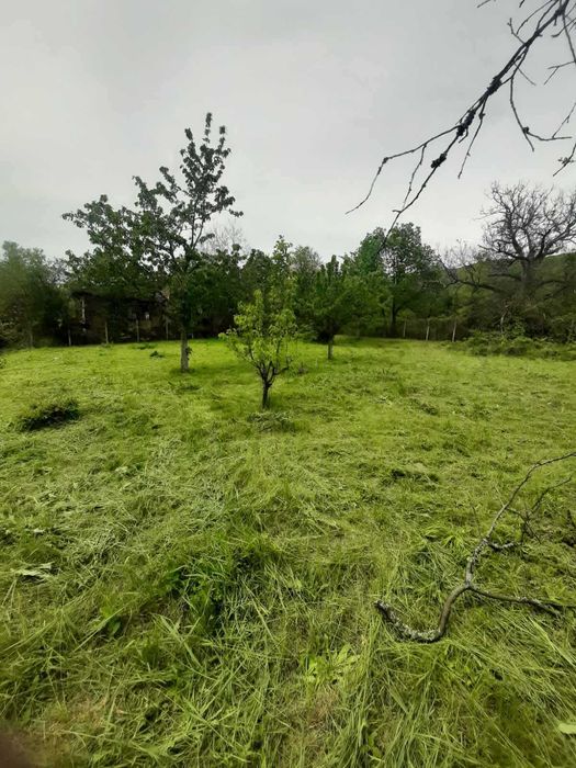 Продава се Парцел в с. Очуша, Област София-област - 735 кв.м за 32 €/кв.м - Снимка #2