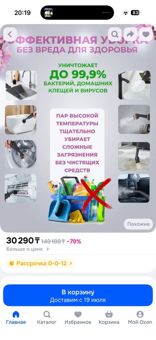 Пароочиститель китайский