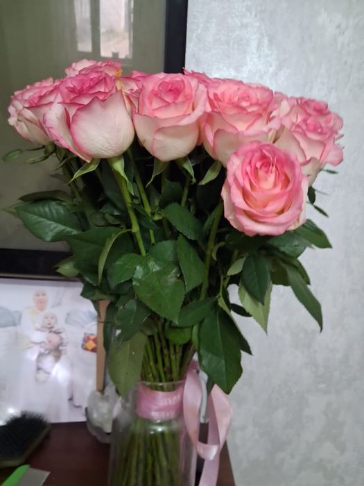Розы розовые,51шт