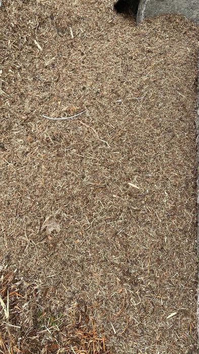 Tocătură  crengi de foioase
Mulci pt. grădină ,talaj, rumeguș   2 m. 3