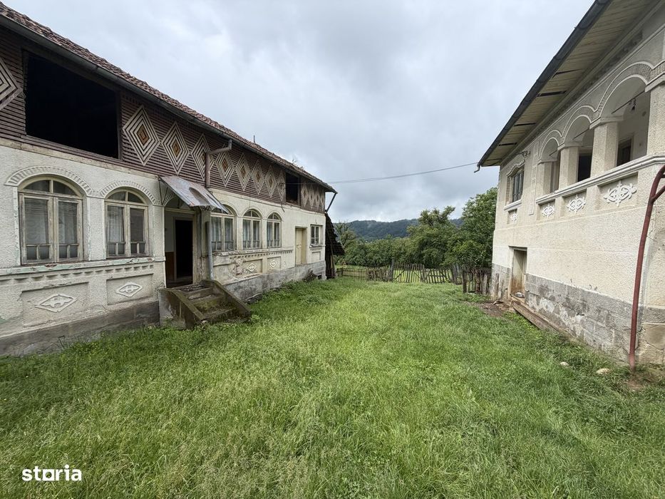 Case Parintesti, Com. Vulturesti, 3600 mp, zona superba