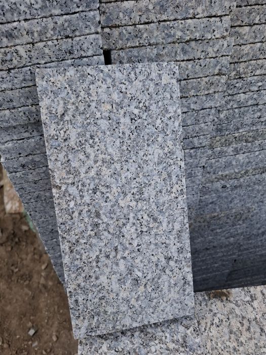 Гранит ширшавый буручатка