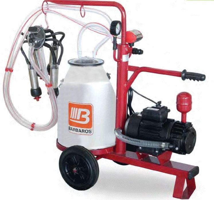 Qoshnilar tomonidan josuslik qilingan porno