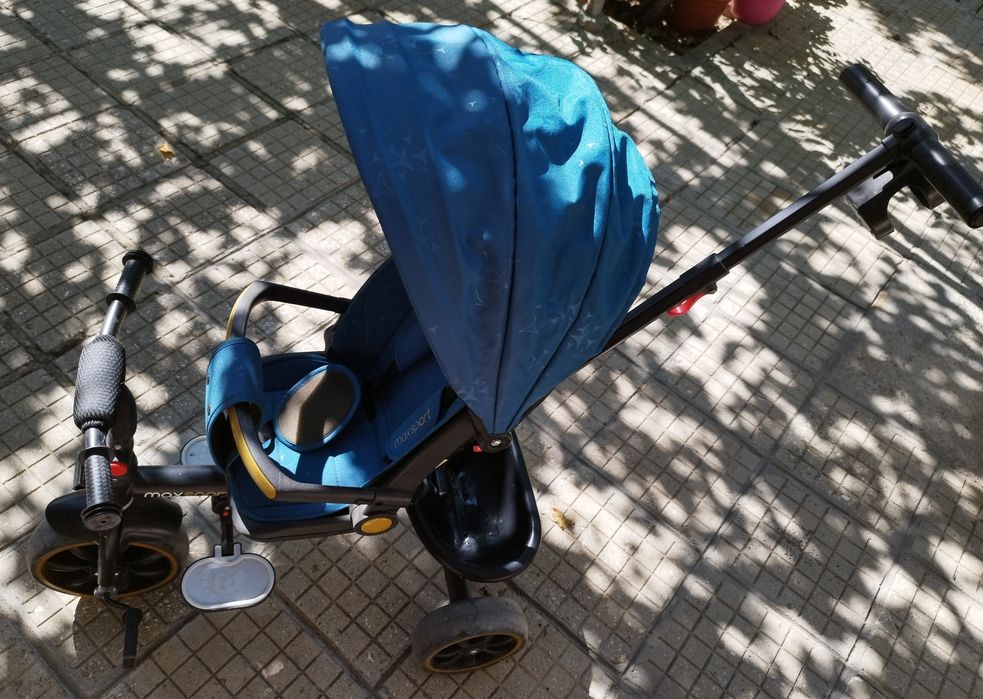 Триколка Chipolino Max sport