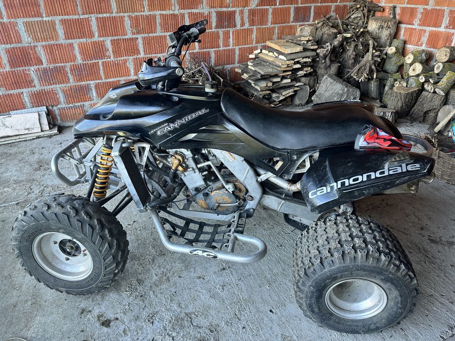 Quad Cannodale Cannibal 440 Model USA