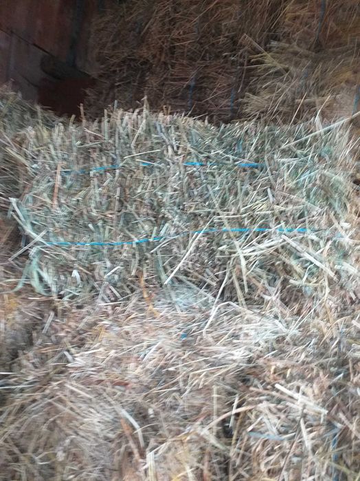 Baloti fin drepunghiular