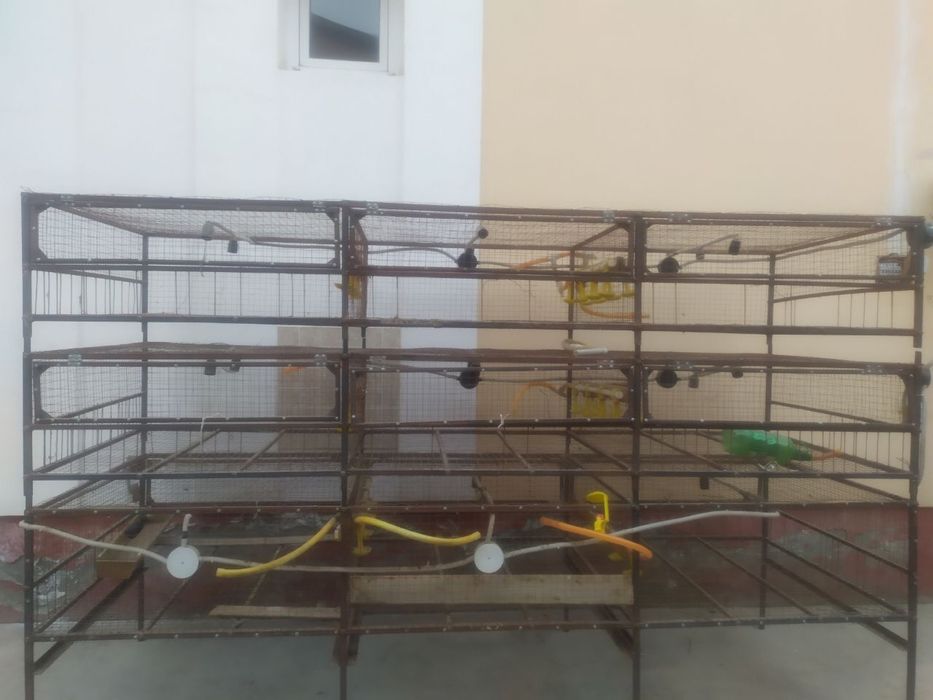 Товук катак