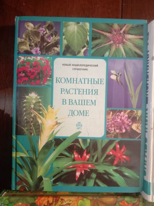 Учебники и энциклопедии