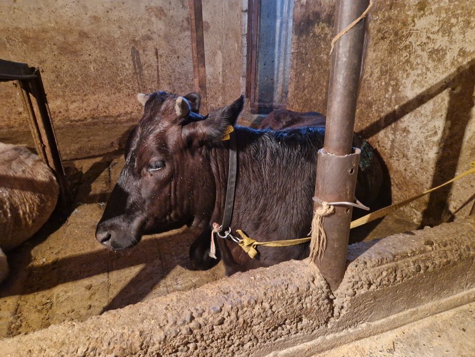 Түргень ТүргенТүргень