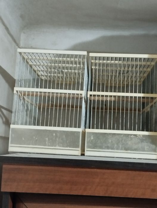 Kanareka qafasi kattasi