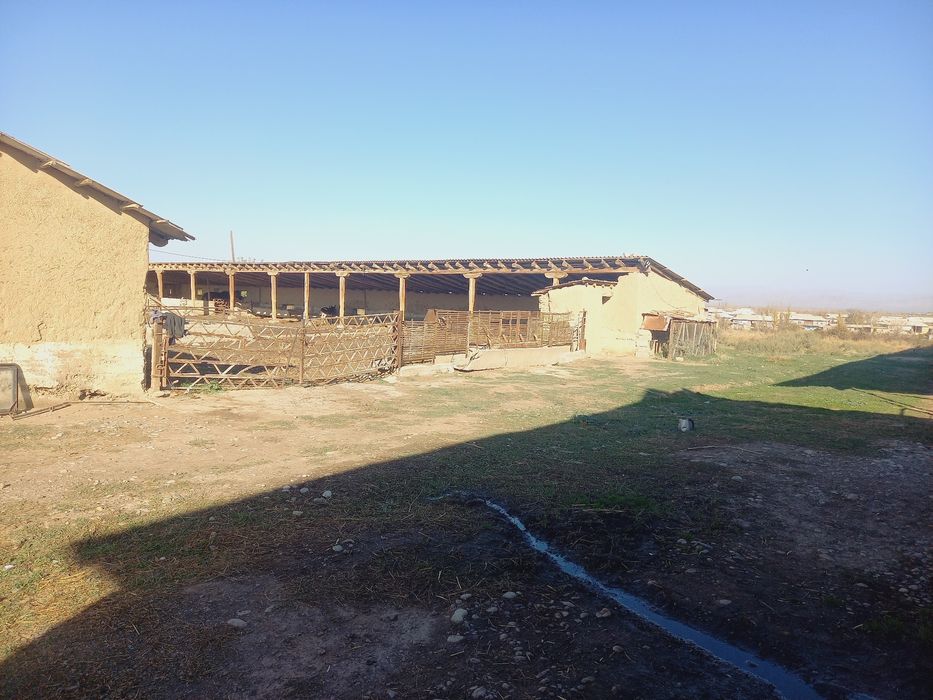 Молхона ва ишлаб чикариш учун бино