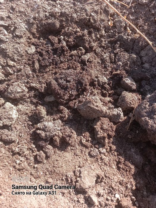 Перегной всех видов