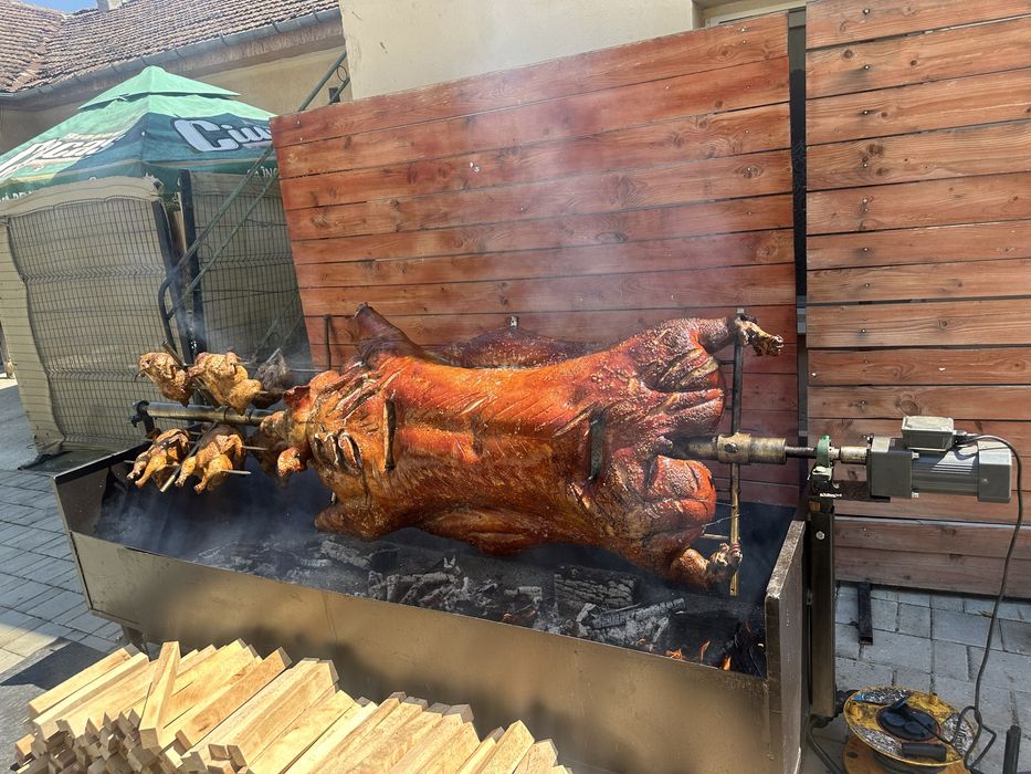 Animale facute la protap ! Ne deplasam in strainatate!