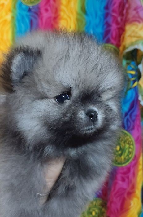 Мальчики и девочки мимишки