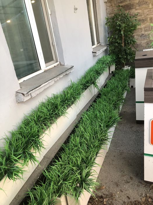 Декор ,зелень ,искуственная трава!