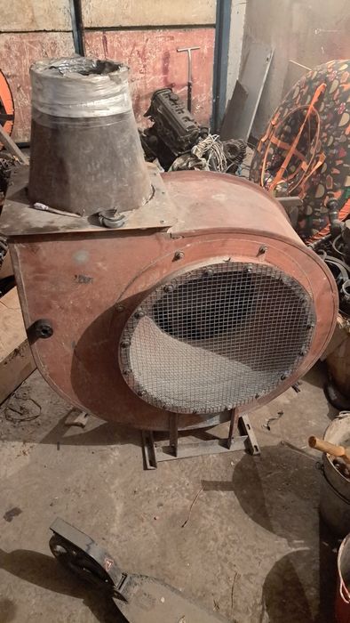 Прдам улитку вытешка