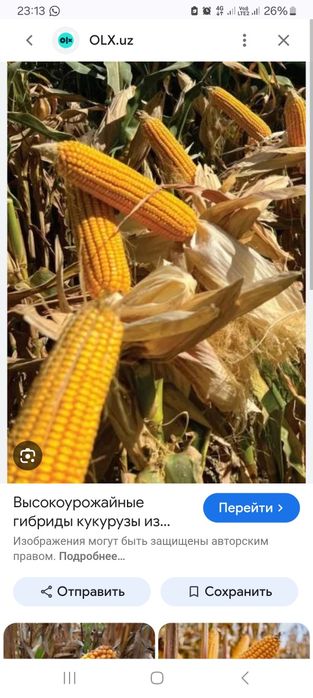 Жугеры собыгымен сатылады капталган