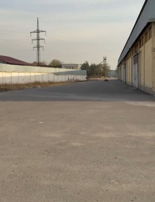 Продаётся мукомольный завод