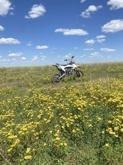 Продам питбайк Kayo 124