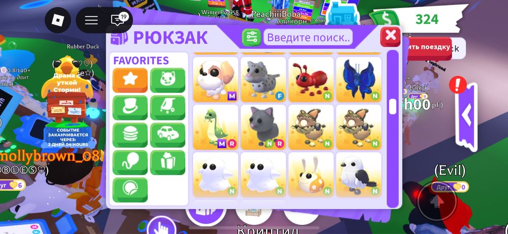 Адопт ми петы за тенге