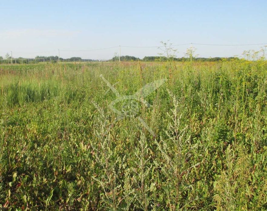 Парцел Брестник 75318