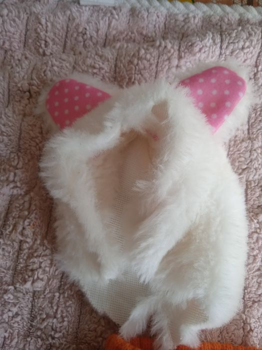 Костюмчик для питомца.