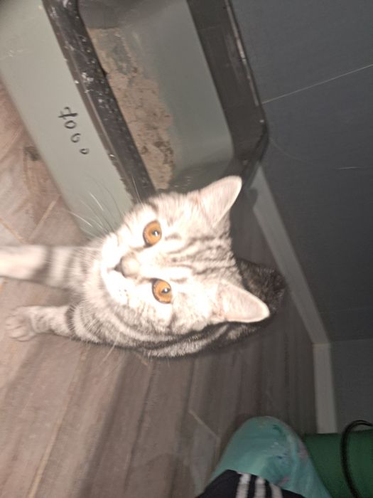 осы нөмірге жазыныздар