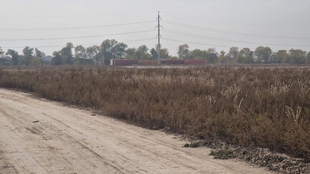 Продам участок 50 соток