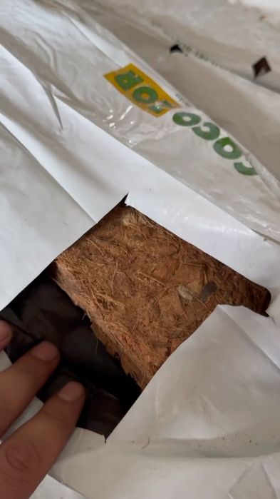 Bodiring, Pamidor uchun Kakos Torf bor Arzon va Sifatli