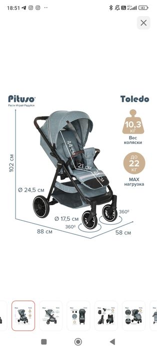 Детская коляска Toledo Pitusa