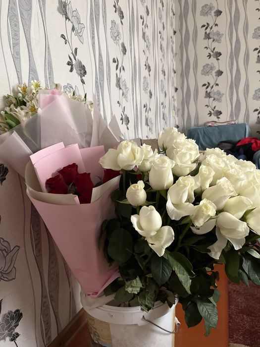 Гүлдер сатылады срочна