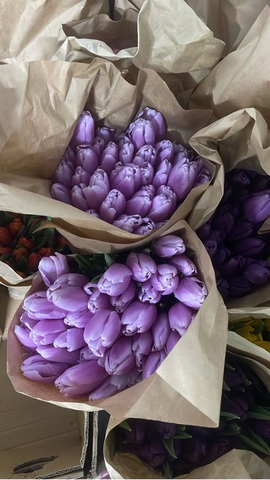 Оптом и в розинцу тюльпаны