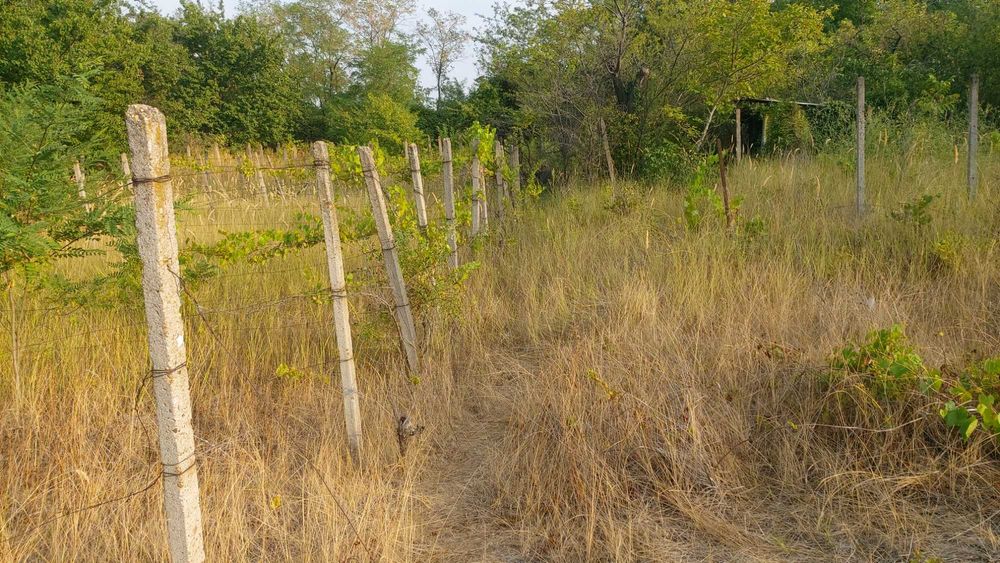 Продава се Земеделски имот в Силистра, Промишлена зона - Юг -  кв.м за 6630 €/дка - Снимка #6