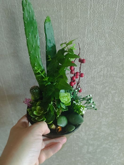 Продам флорариумы с кактусами сансевьерами