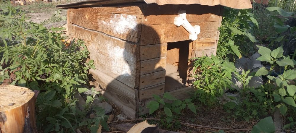 Собачья будка продам