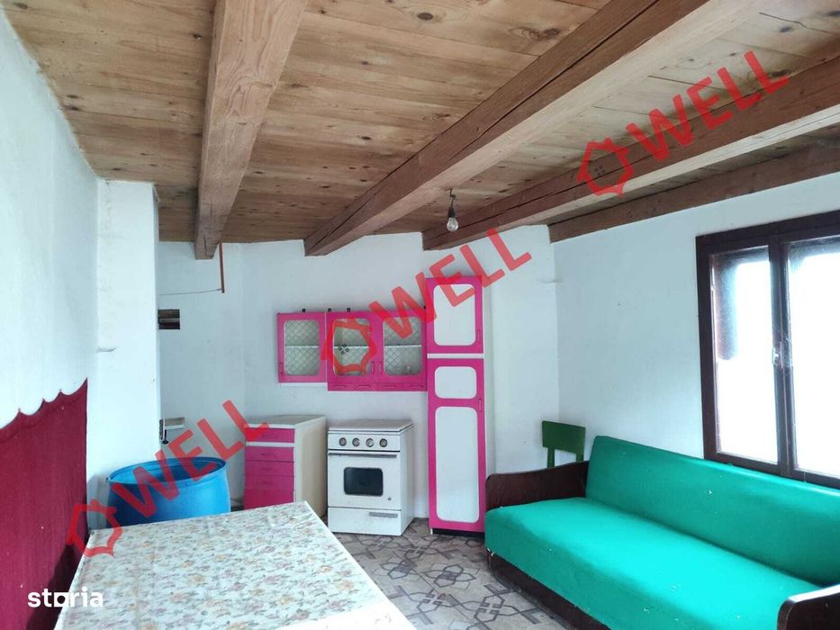 Proprietate cu 2 case de vânzare în Tamașfalău!