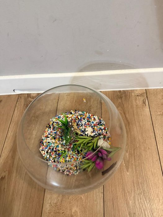 Аквариум с наполнением