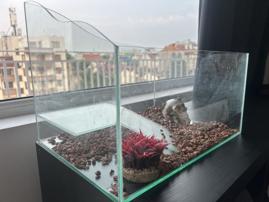 Стъклен аквариум