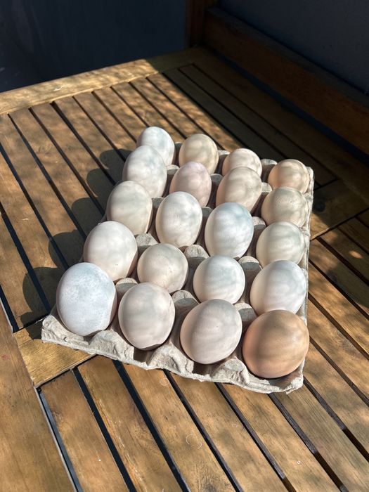 Домашни яйца от свободни кокошки