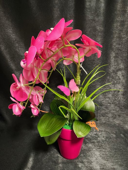 Aranjament de orhidee premium