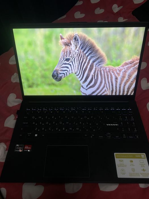 Asus vivobook Go 14/15