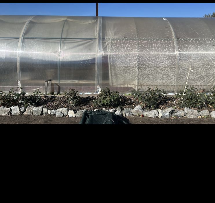 Продам теплицу 3*8