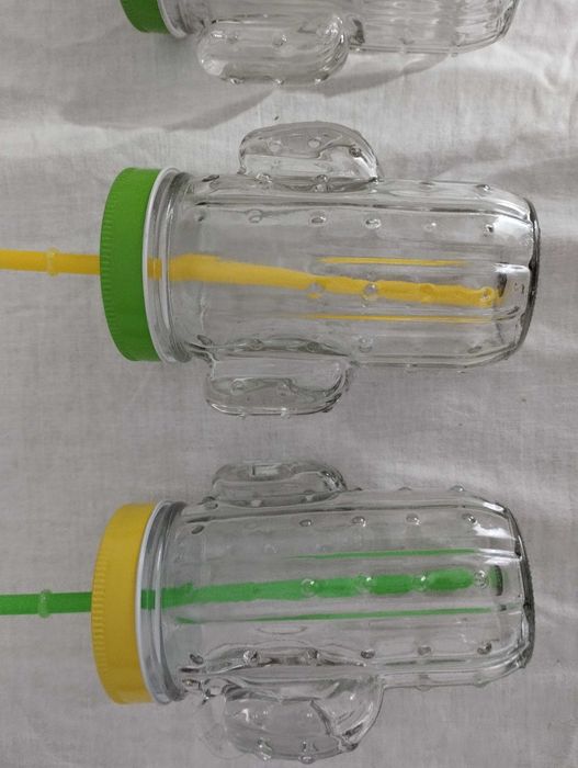 Чаши Cacti - кактуси 370мл с капаче и сламка