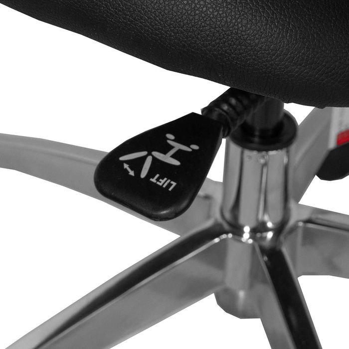 Scaun de birou ergonomic Vitaholm Spine Ultimate