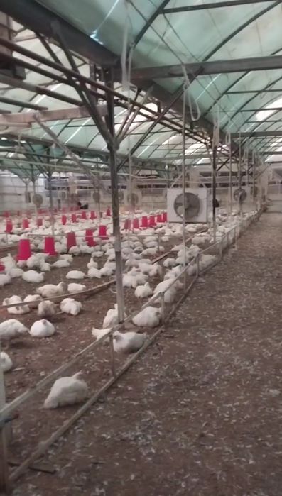 Фильтр. Циклон. Саноат филтрлари 99,5% гача тозалайди.